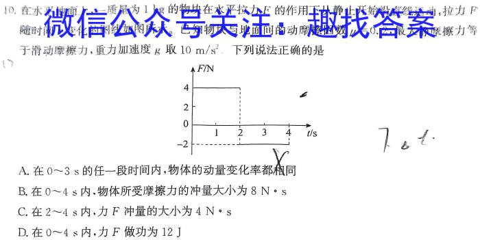 2024年普通高等学校招生全国统一考试冲刺压轴卷(六)物理`