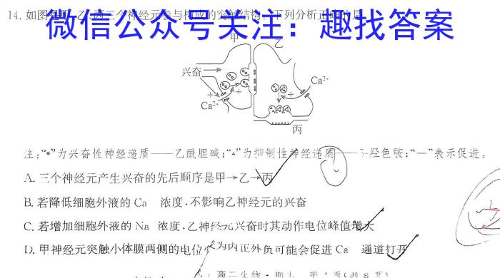 辽宁省2024届高三年级下学期3月联考生物学试题答案