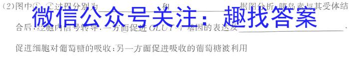 湖北省鄂东南救改联盟学校2024年五月模拟考生物