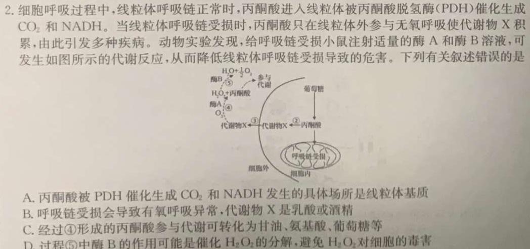 陕西省2024-2025学年西安理工大附中八年级收心自我评价生物