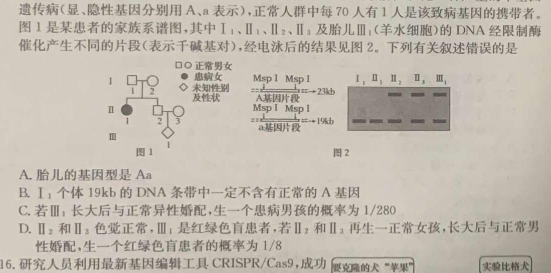 2024年陕西省西安市莲湖区五校联考中考模拟生物