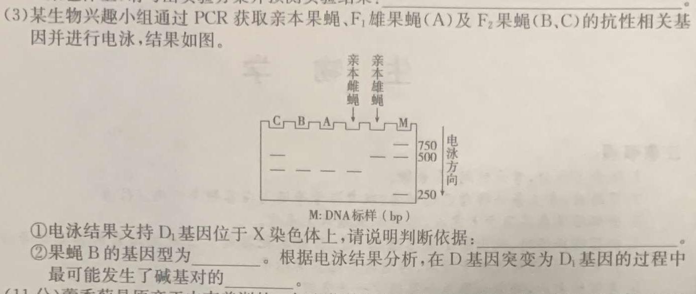 重庆市松树桥中学校2023-2024学年（下）八年级开学学业质量抽测生物