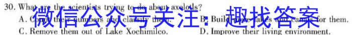 学海园大联考 2024届高三冲刺卷(三)3英语