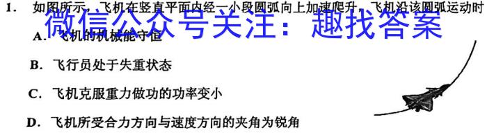 重庆市鲁能巴蜀中学2024年九年级第二次模拟考试物理试卷答案