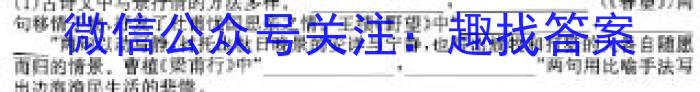 山东省2024届衡水金卷高三2月联考SD试卷语文