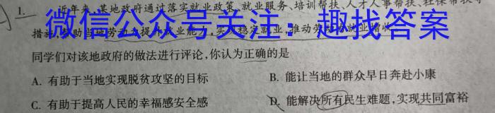 青桐鸣·濮阳市普通高中2023-2024学年高一下学期期中考试政治~