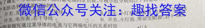 2024年河北省中考模拟试题物理试卷答案