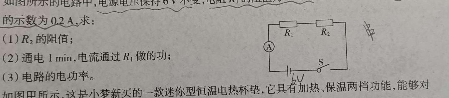 河南省新野县2024年春期期终质量评估八年级(物理)试卷答案