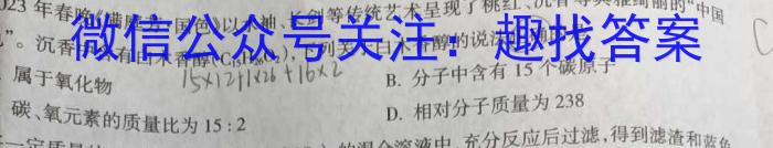 河北省七年级2023-2024学年度第二学期学业水平测试(#)化学