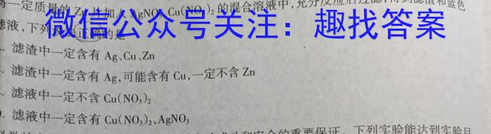 q安徽省2024届下学期九年级开学考试（2.27）化学