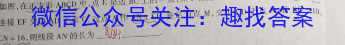 河北省2024年考前适应性评估(二)[8L]地理试卷答案