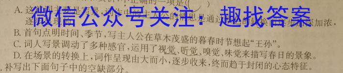 安徽第一卷·2023-2024学年安徽省九年级教学质量检测五Ⅴ(3月)语文