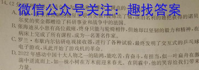 2024年河南省普通高中招生考试 中考抢分卷(B)语文