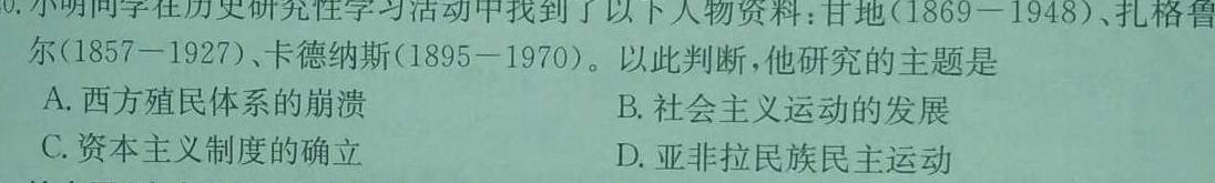 白水县2024年初中学业水平考试模拟卷(四)历史