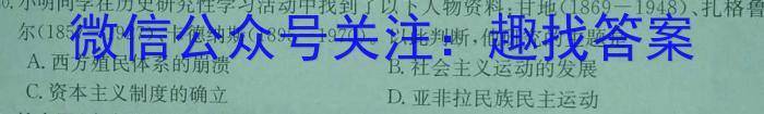 安徽省六安市轻工中学2024年九年级下册第一阶段定时训练历史试卷答案