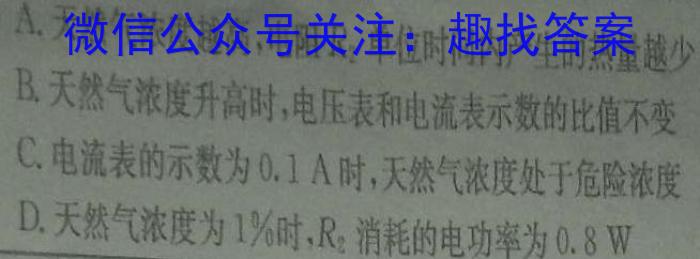 2024届中考导航总复习·模拟·冲刺·二轮模拟卷(二)2物理试卷答案