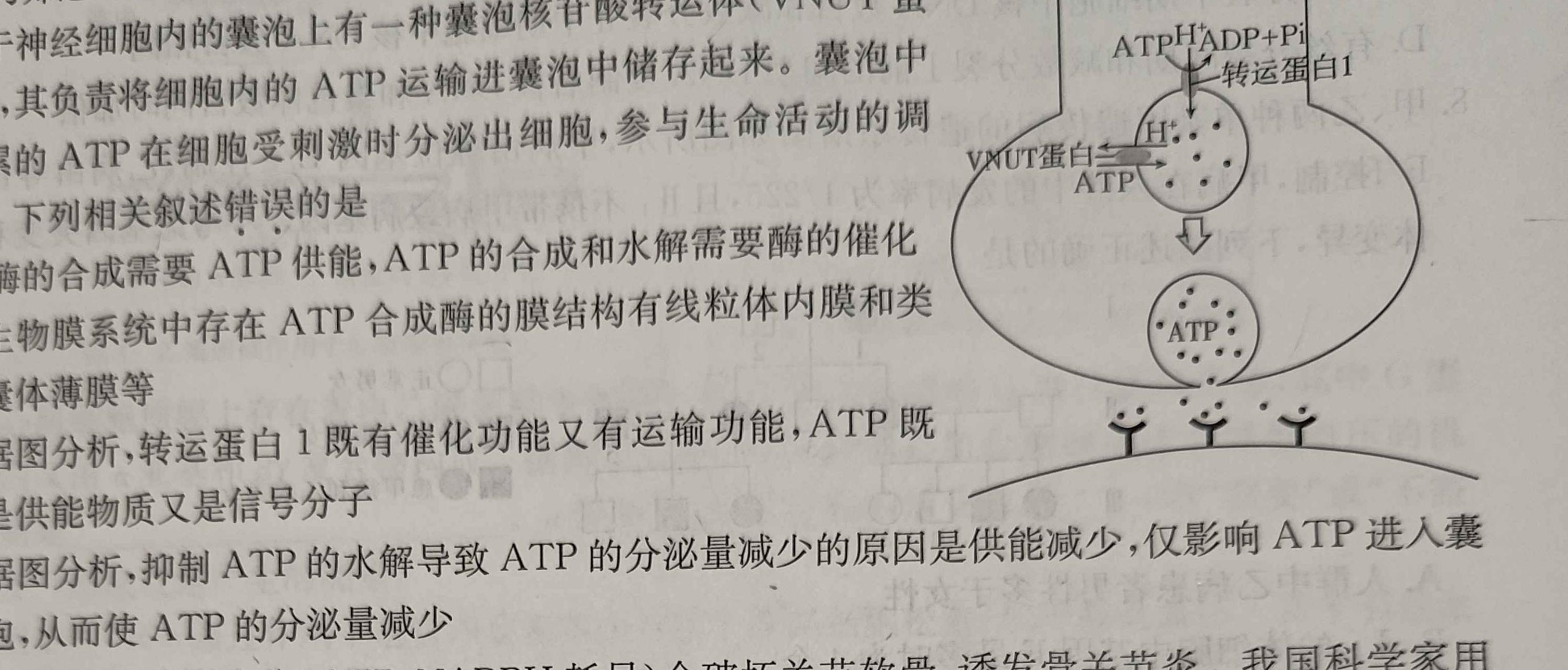 陕西省2023-2024学年度高一第二学期阶段性学习效果评估(7月)生物学部分