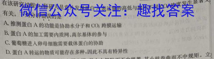 天域安徽大联考2024届高三第二次素质测试生物学试题答案