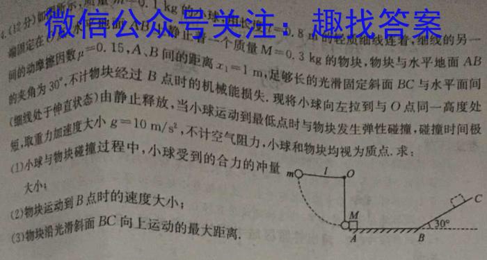 安师联盟2024年中考权威预测模拟试卷(二)物理试卷答案