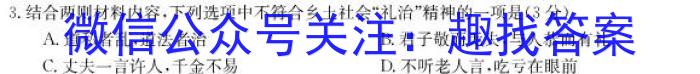 顶尖联盟2024届高中毕业班第三次考试（老教材版）/语文