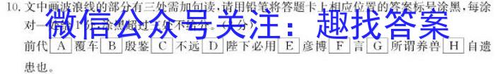 南宁一模南宁市2024届高中毕业班第一次适应性测试语文