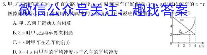 湖南省长郡中学2024届高考适应性考试(三)3物理`