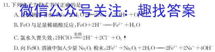 甘肃省武威某校2023-2024学年第二学期九年级学情评估试卷化学