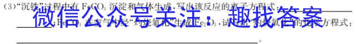 河南省2023-2024学年第二学期高一年级期末考试化学