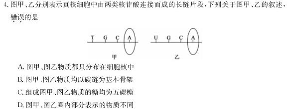 江西省2023-2024学年度八年级下学期第七次月考（二）生物