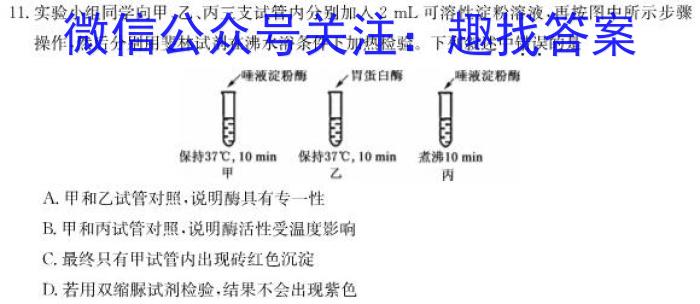 2024年河南省九年级第七届名校联盟考试生物学试题答案