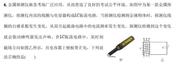 重庆市高2025届上学期拔尖强基联盟高三10月联合考试-(物理)试卷答案