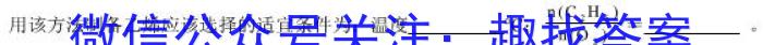 【精品】安徽省2023-2024学年九年级下学期教学质量调研(2月)化学