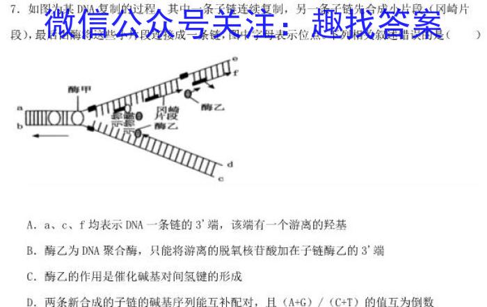 广东省2023-2024学年下学期佛山市普通高中教学质量检测（高一期末）生物学试题答案