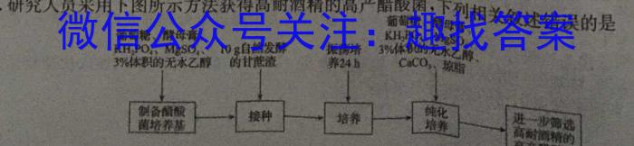 湖北省2024年春"荆、荆、襄、宜四地七校考试联盟"高二期中联考生物学试题答案