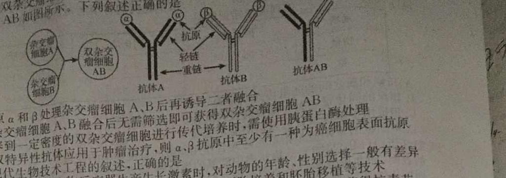 [阳光启学]2024届全国统一考试标准模拟信息卷(四)生物