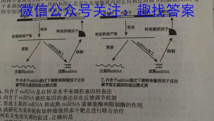 云南师大附中(云南卷)2024届高考适应性月考卷(黑白黑白白白白白)生物学试题答案