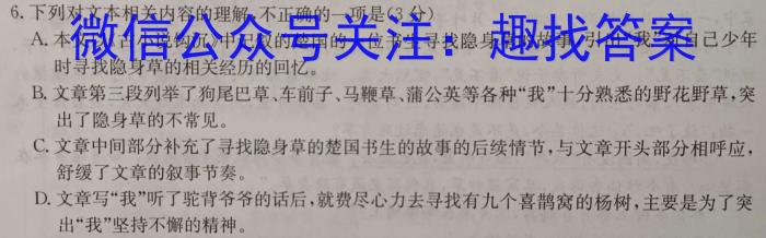 河南省2024年九年级调研测试(三)语文