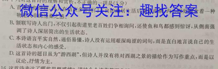 2024年陕西省初中学业水平考试·临考冲刺卷（C）语文