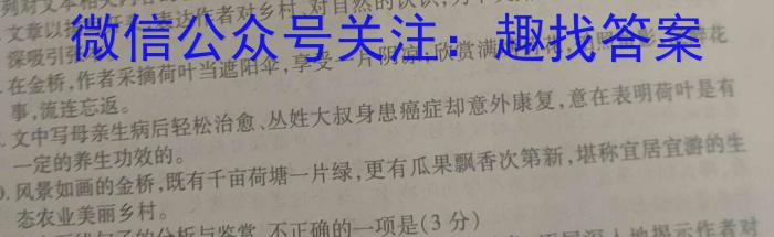 安徽省淮南市凤台县2023-2024学年第二学期九年级学期调研卷语文