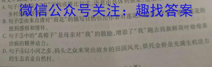 黑龙江省2023-2024学年度下学期高二4月联合考试(242675D)语文