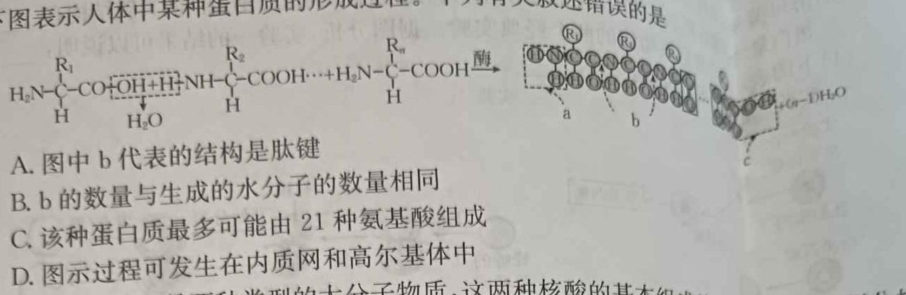 山东省2024年普通高等学校招生全国统一考试测评试题(五)5生物学部分