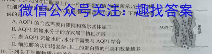 新向标教育 淘金卷2024年普通高等学校招生考试模拟金卷(二)2生物学试题答案