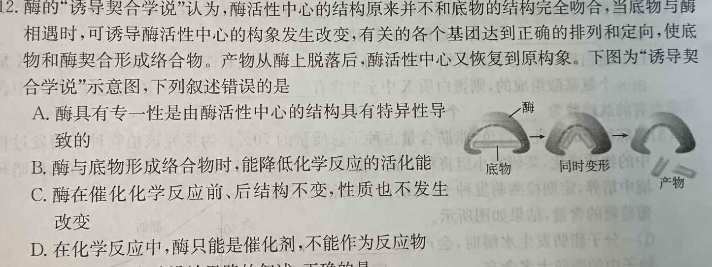 [青岛三模]山东省2024年高三年级第三次适应性检测(2024.05)生物学部分