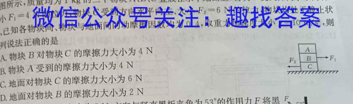 名校名师名卷 2024年陕西中考冲刺押题卷(一)1物理试卷答案