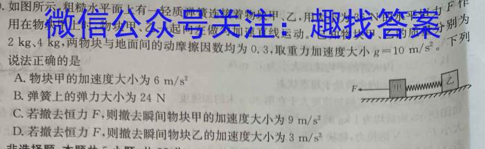 山东中学联盟2024年高考考前热身押题物理试卷答案