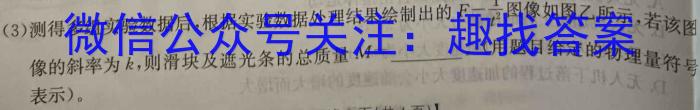 2024届NT普通高等学校招生全国统一考NT精准模拟卷(二)物理试卷答案