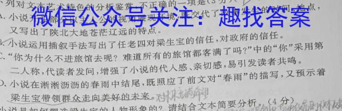 陕西省2024年普通高等学校招生全国统一考试 模拟测试(三个黑三角)语文