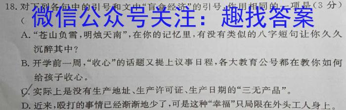 2024年河南省中招备考试卷(二十一)语文