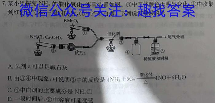 南阳地区2024年春季高一年级阶段检测考试卷（555）化学