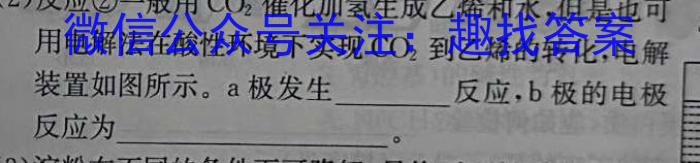 q庐江县2023/2024学年度七年级第二学期期末教学质量抽测化学